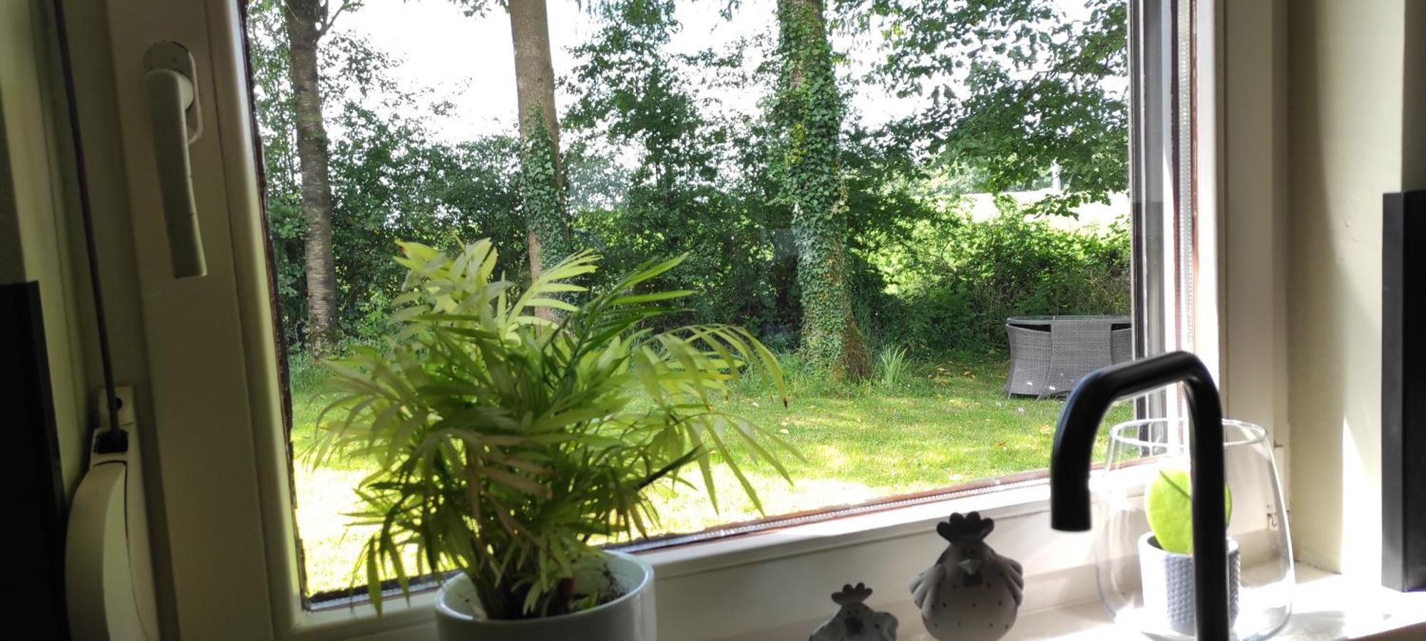 Au Cottage Paisible Rendeux Extérieur photo